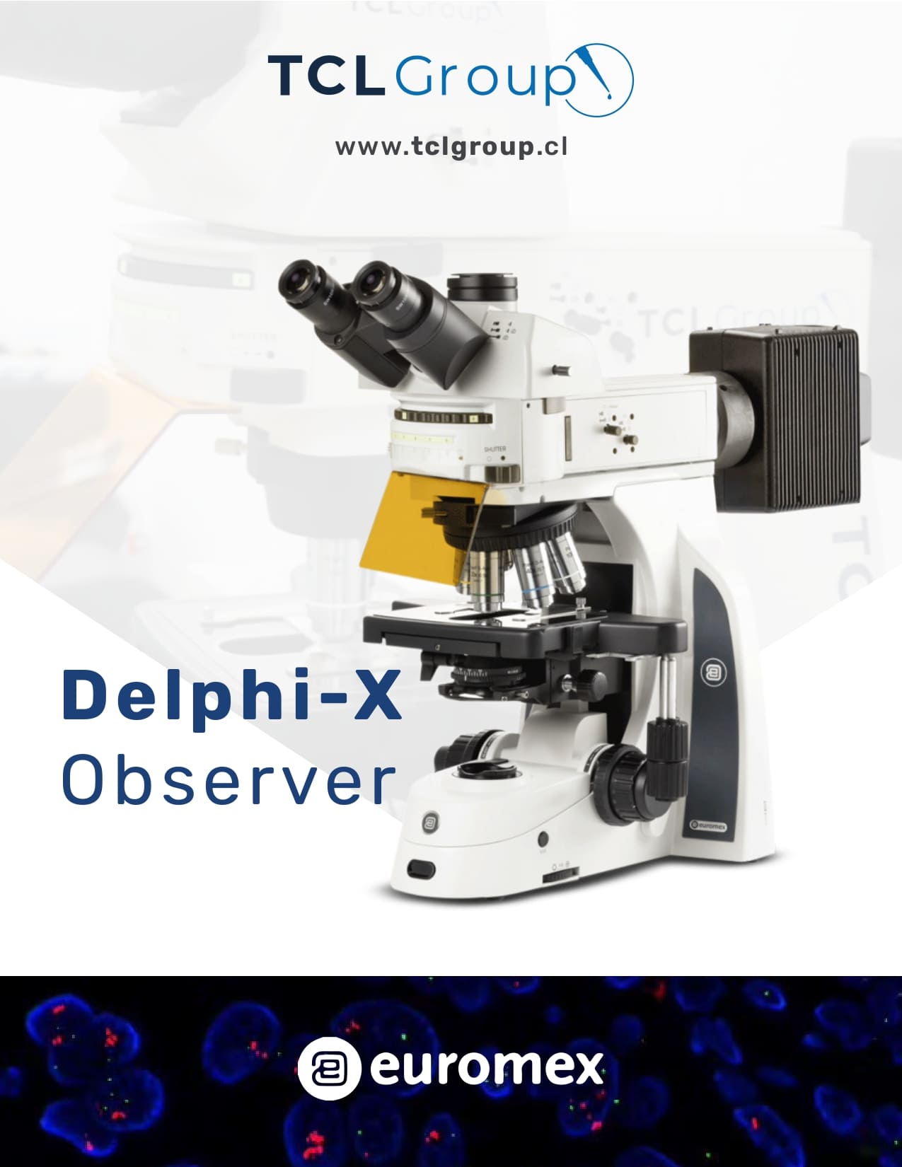 Delphi X - Observer